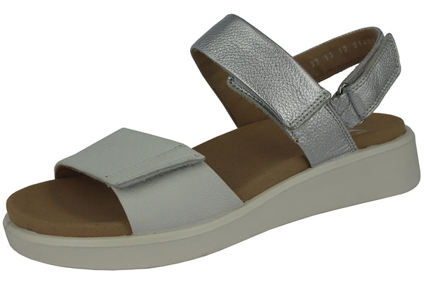 21401 - WHITE / SILVER